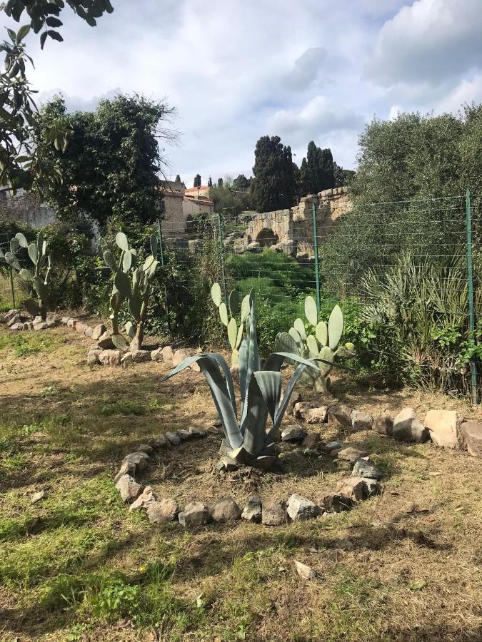A Casa Di Peppino Villa Greco Tindari Exterior foto