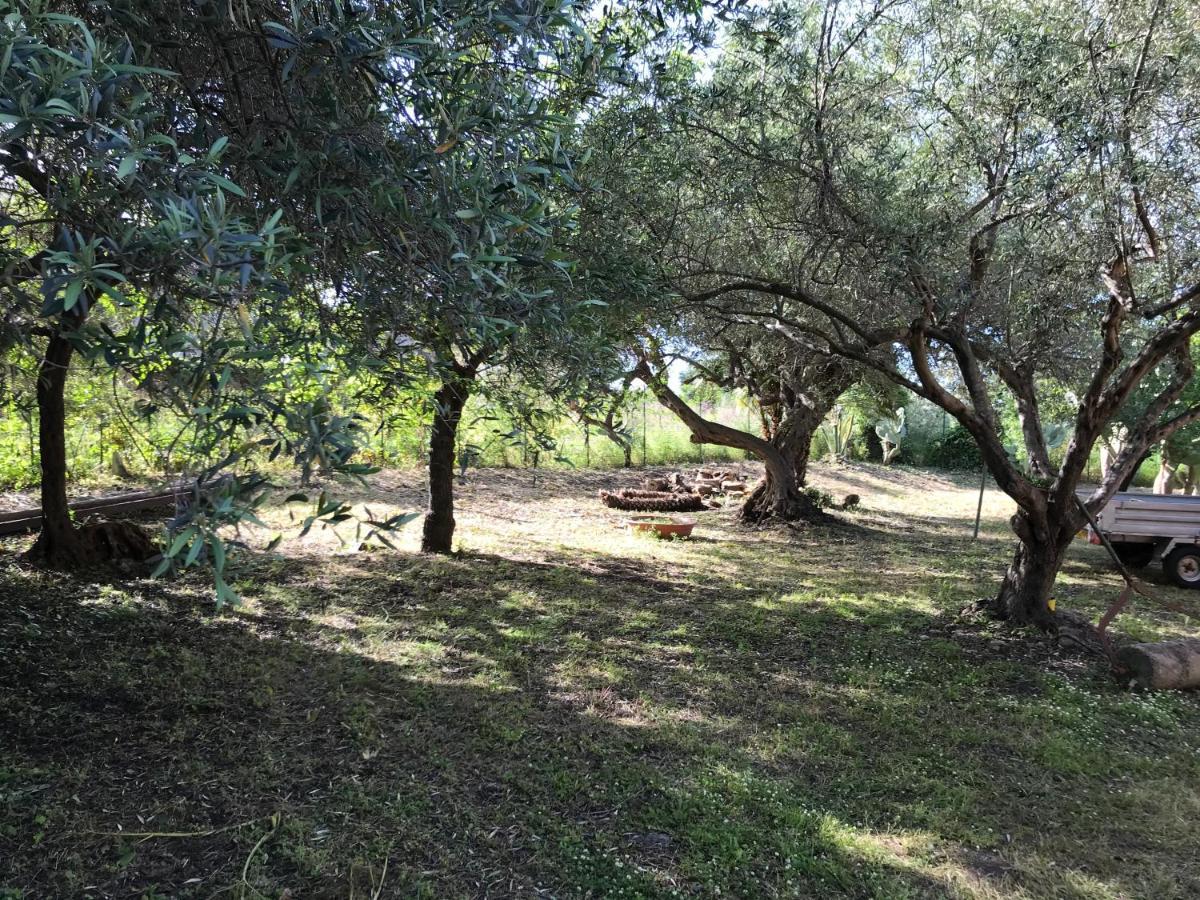 A Casa Di Peppino Villa Greco Tindari Exterior foto
