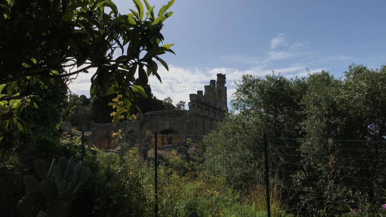 A Casa Di Peppino Villa Greco Tindari Exterior foto