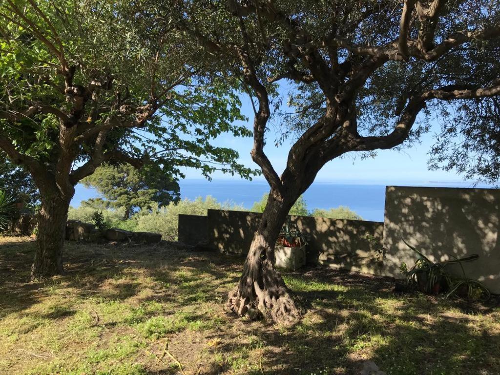 A Casa Di Peppino Villa Greco Tindari Exterior foto