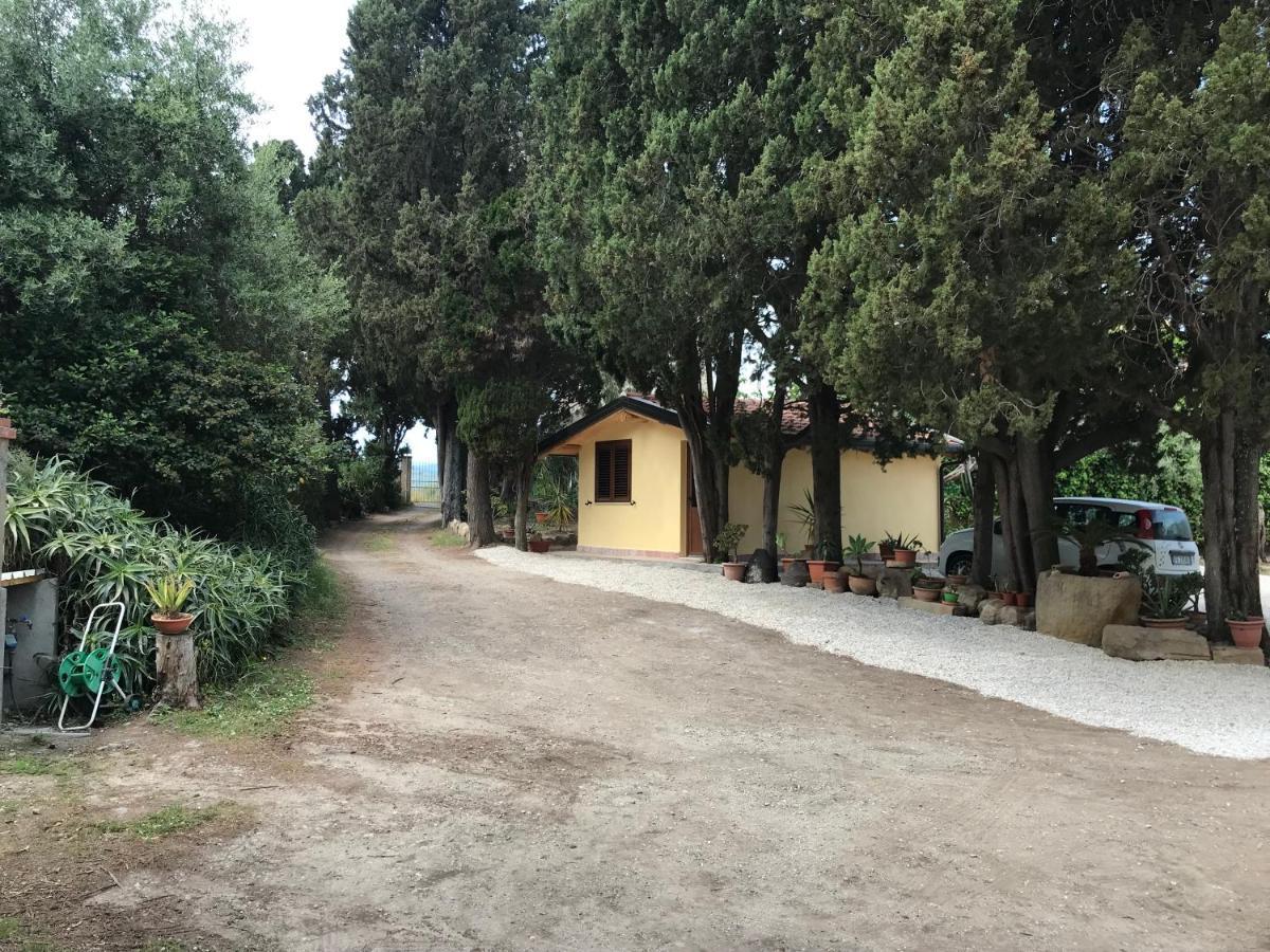 A Casa Di Peppino Villa Greco Tindari Exterior foto