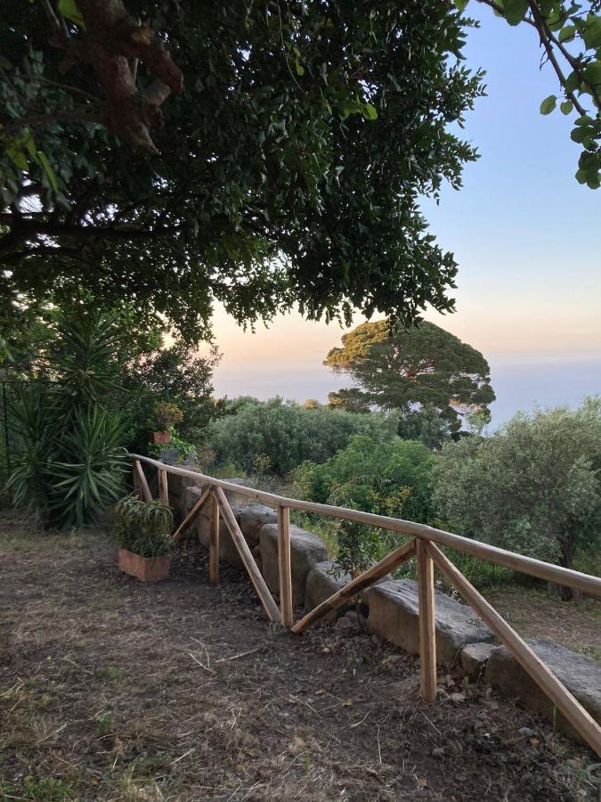 A Casa Di Peppino Villa Greco Tindari Exterior foto
